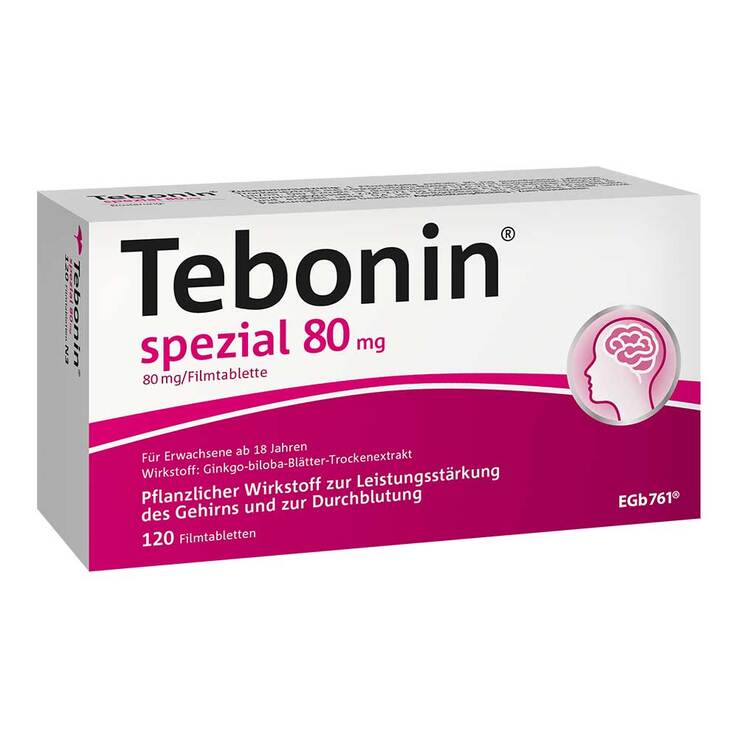 테보닌 스페셜 80mg 필름정 120정 (은행잎추출물) | APO EURO 유럽직구
