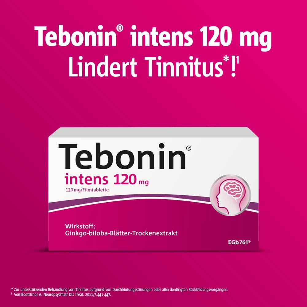 테보닌 인텐스 120mg 은행잎 추출물 필름정 60정